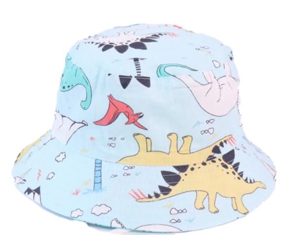 כובע טמבל תינוקות דינוזאורים תכלת